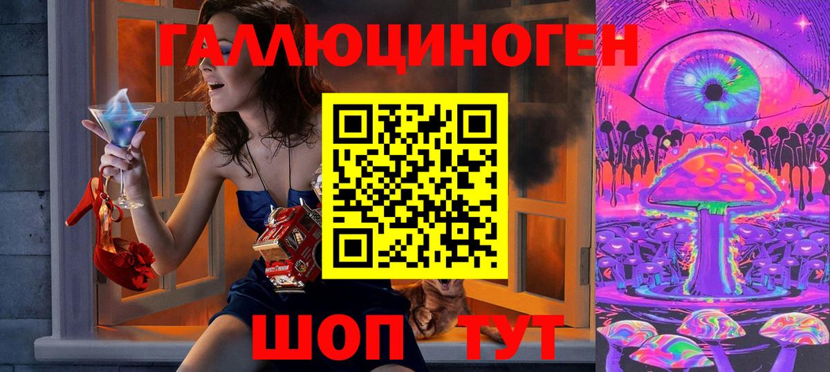 Сосновый Бор  Псилоцибиновые грибы мухоморы  Вход с VPN 
