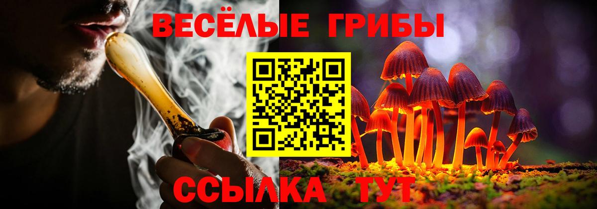 Галлюциногенные грибы Psilocybine cubensis Сосновый Бор